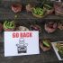 Monsanto Go Back!