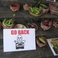 Monsanto Go Back!